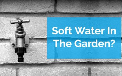 Should I Use Soft Water In My Garden Tap?