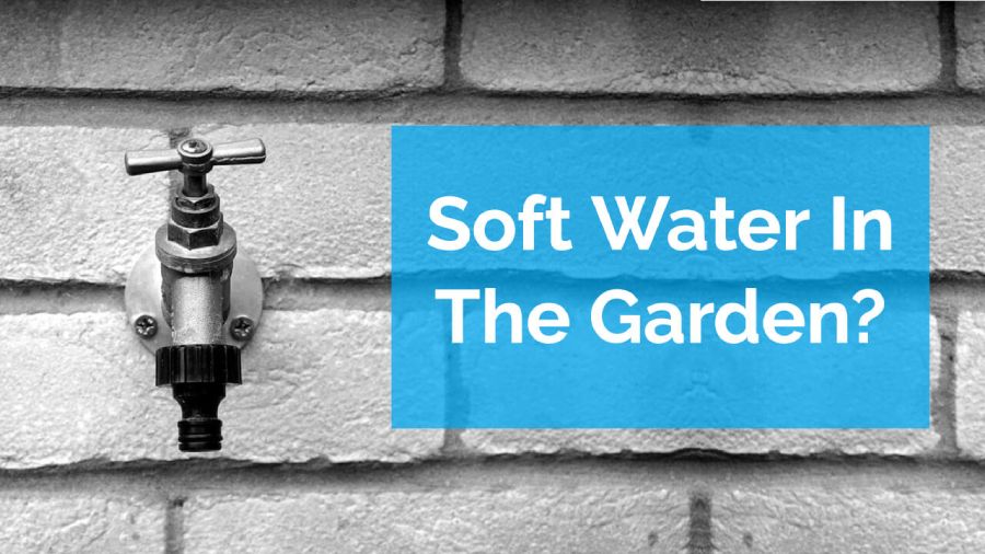 Should I Use Soft Water In My Garden Tap?