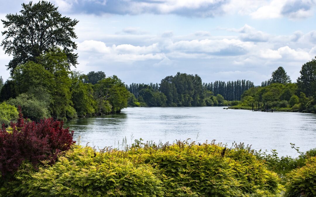 Exposed: The UK’s disease-ridden, life-threatening Toxic Water