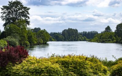 Exposed: The UK’s disease-ridden, life-threatening Toxic Water