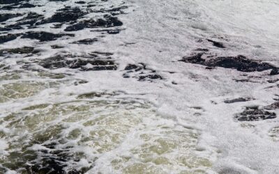 Do We Drink Sewage Water?