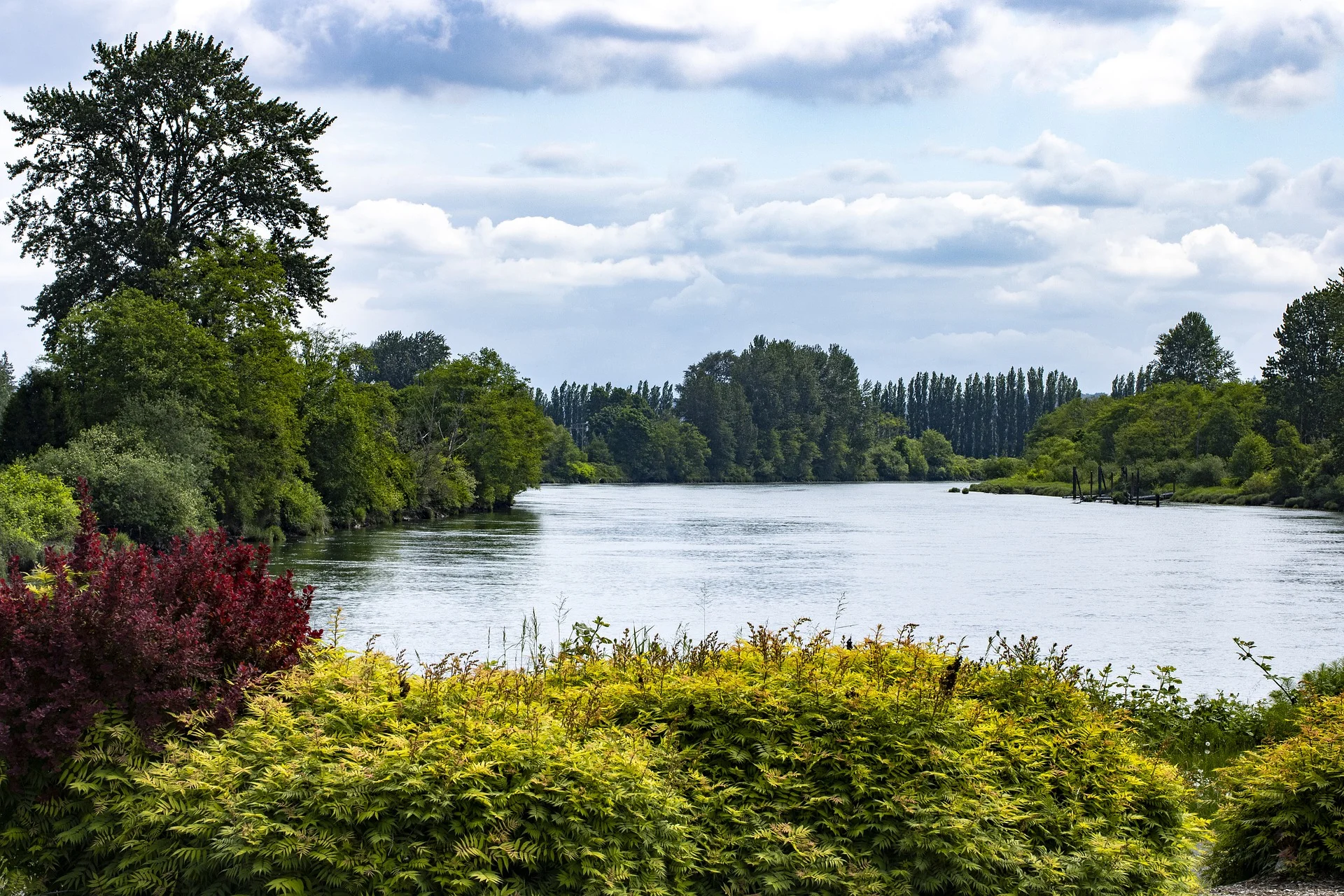 river-8018379_1920